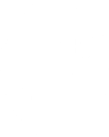 El texto del párrafo (12)