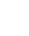 El texto del párrafo (13)
